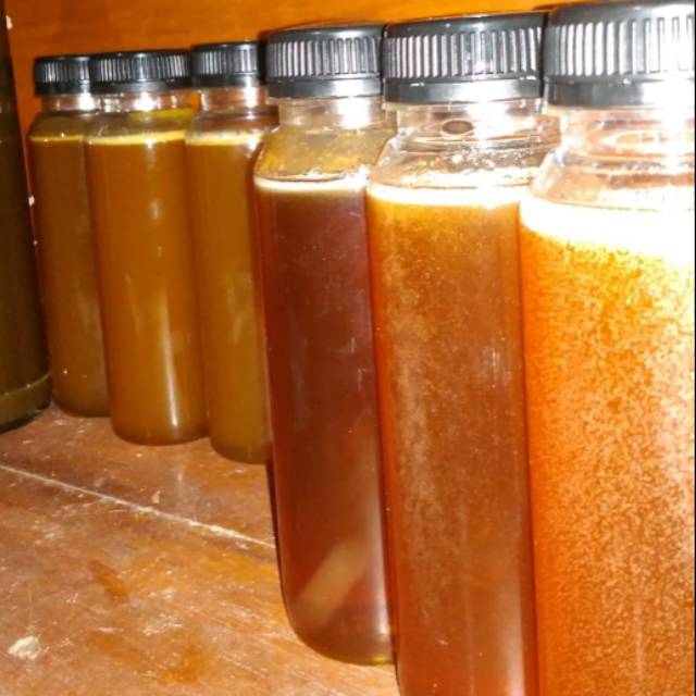 

Madu klanceng atau kelulut murni asli 250ml