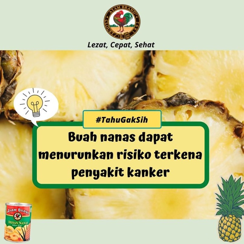 AYAM BRAND FRUIT 565 GR TROPICAL COCKTAIL / PINEAPPLE NANAS SLICE