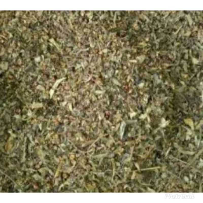 

Meniran kering 100gr