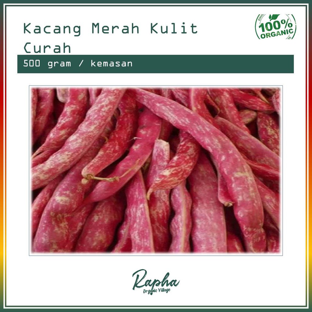 

Kacang Merah kulit curah