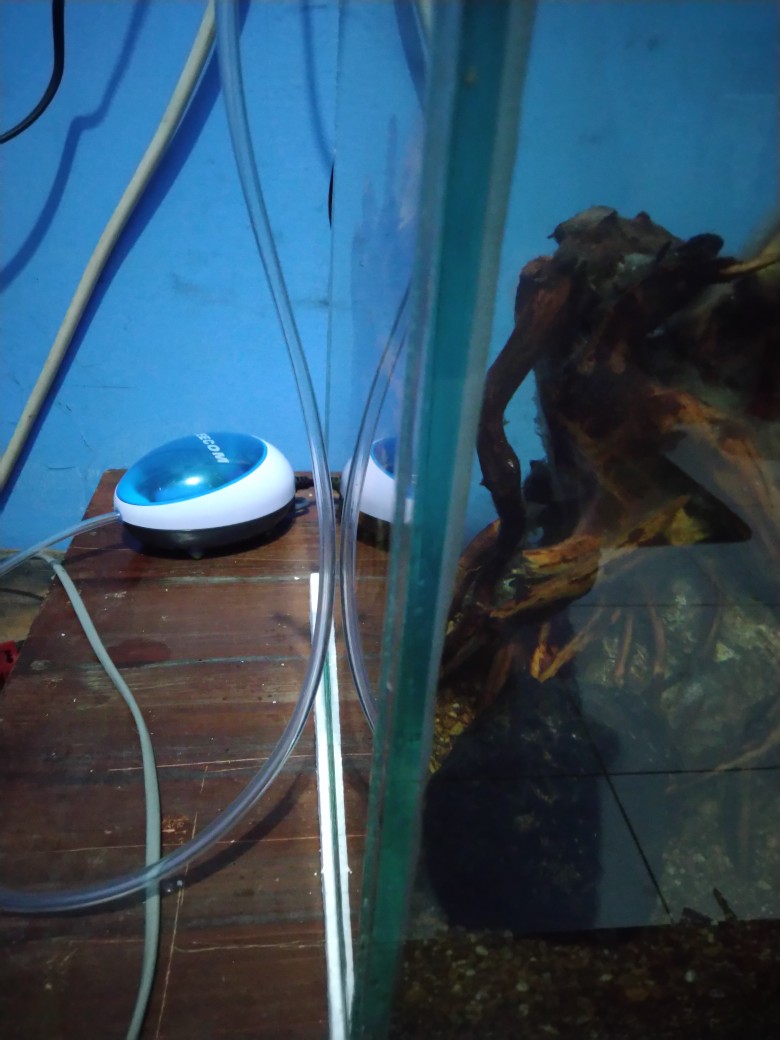 Rhk Leecom Pompa Udara Aquarium 1.5w - Au-312 - Blue