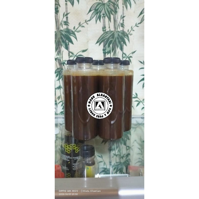 

MADU MURNI Trigona Apicalis ( Kelulut / Teweul ) Liar Hutan Ujung Kulon. 600 gram