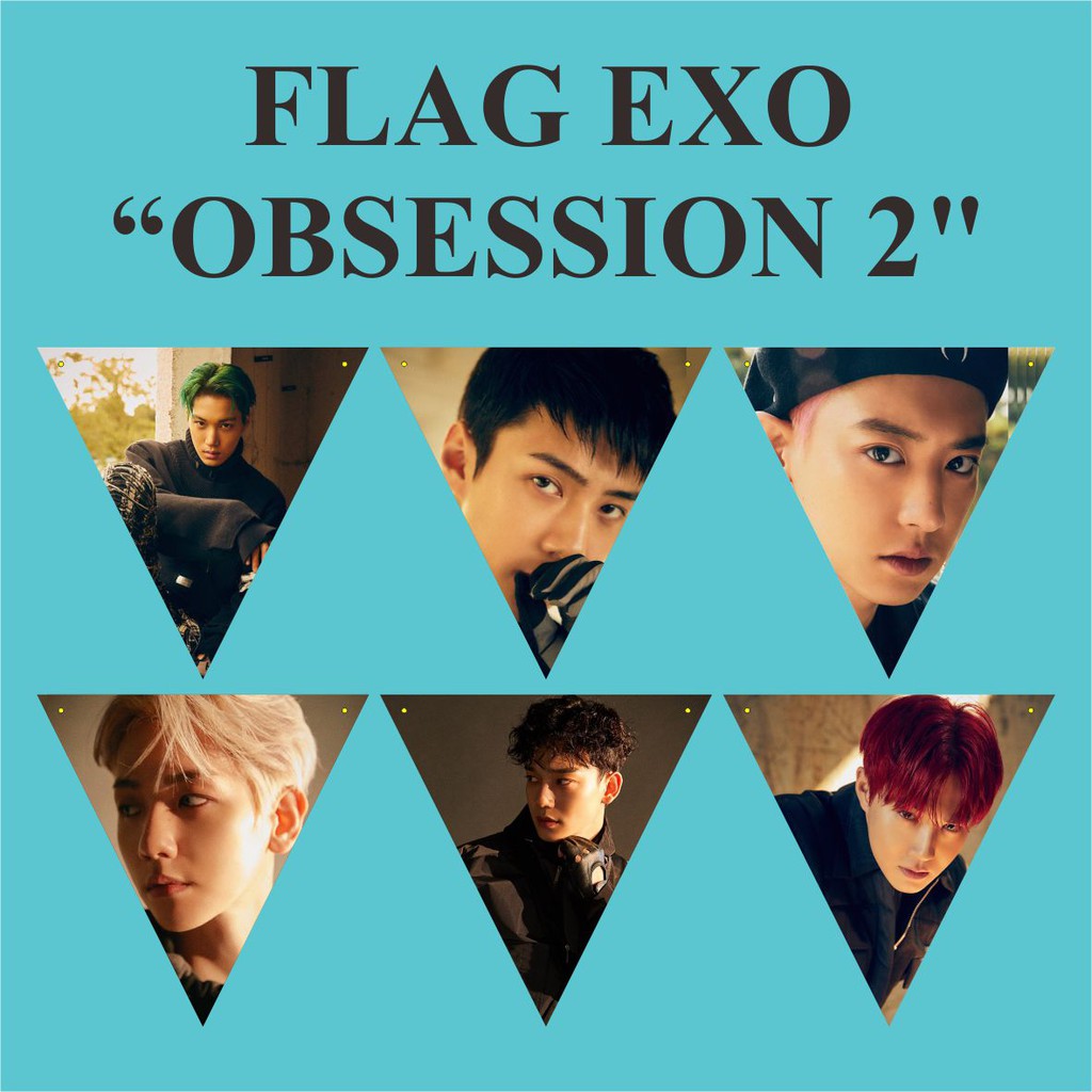 BUNTING FLAG EXO OBSESSION Plus Tali Kpop Murah