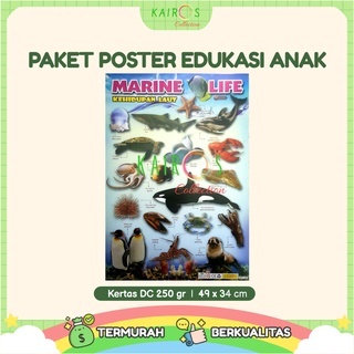 Paket 10 Poster Dinding Belajar Anak Edukasi Huruf, Angka, Hijaiyah, Hewan, Anggota Tubuh, Transportasi