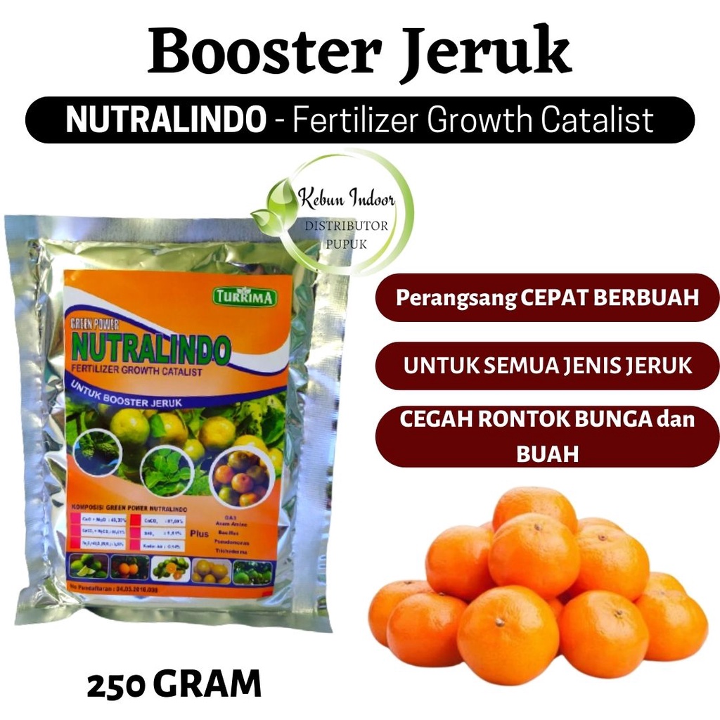 Pupuk Organik Booster Jeruk Perangsang Pembungaan Pembuahan, Pupuk Jeruk Santang Madu Cepat Berbuah