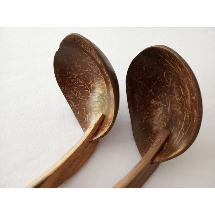 Irus Dari Batok Kelapa Gagang Kayu Sonokeling Panjang 38 Cm