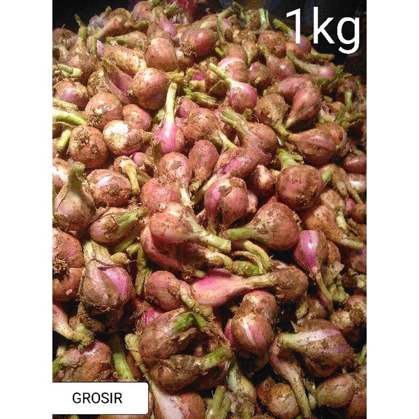 

BAWANG SUMENEP ASLI, 1KG ,BESAR HARGA GROSIR