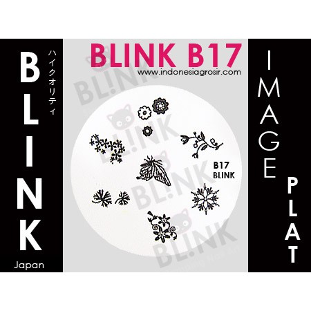 BLINK Image Plate B10 - B22