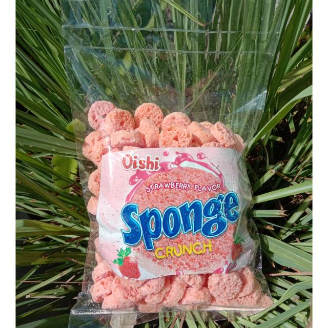 Oishi Sponge