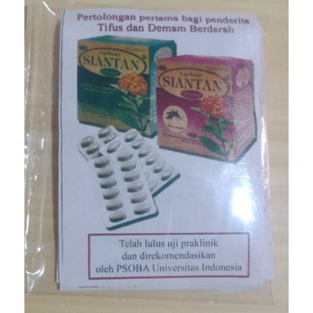 Bunga Cap Siantan Obat Typus Shopee Indonesia