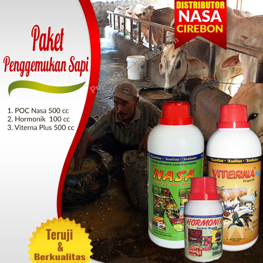 Paket Sapi Nasa ( POC NASA Hormonik Viterna )
