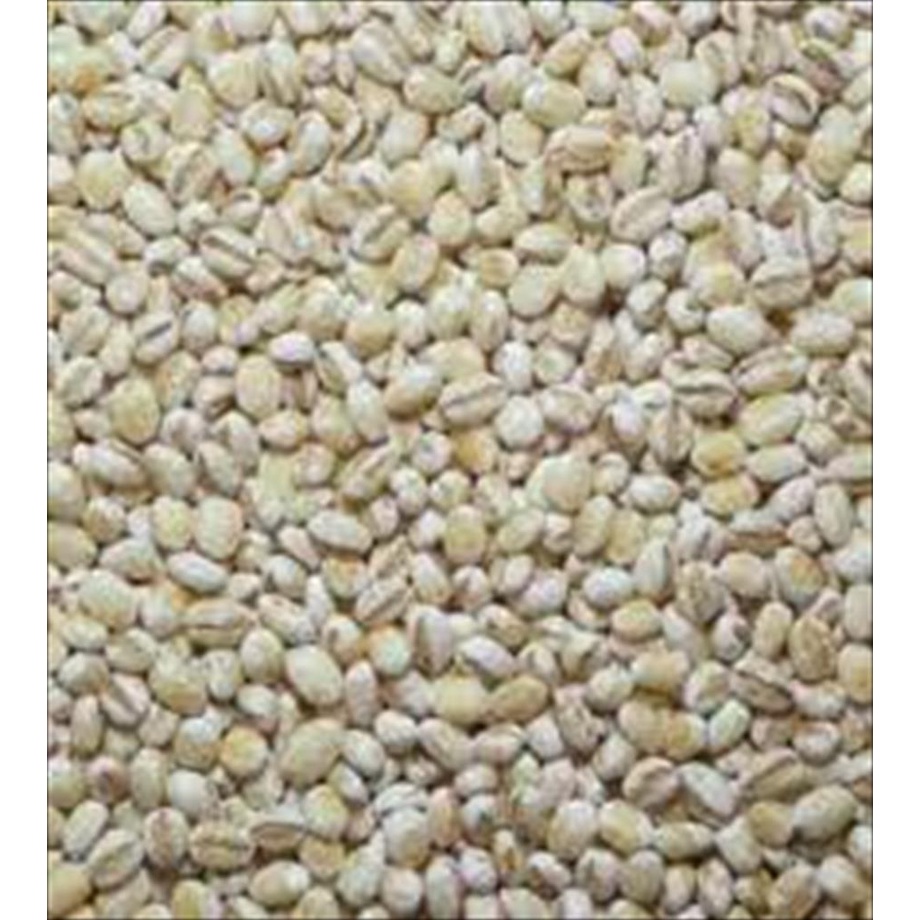 

Jali Jali / Barley 200 Gram