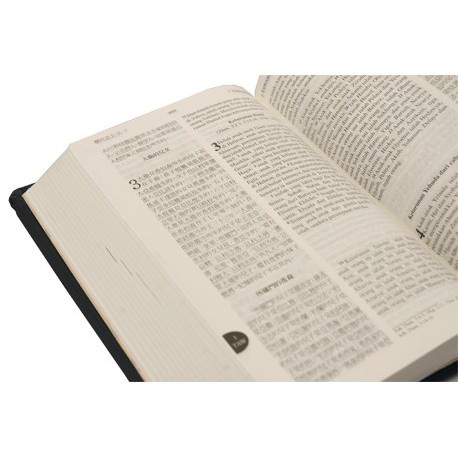 Alkitab Indonesia-Mandarin (TB CUNP 065 TI)