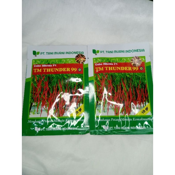 Benih Cabe Keriting Merah TM THUNDER 99 10 gram Tani Murni