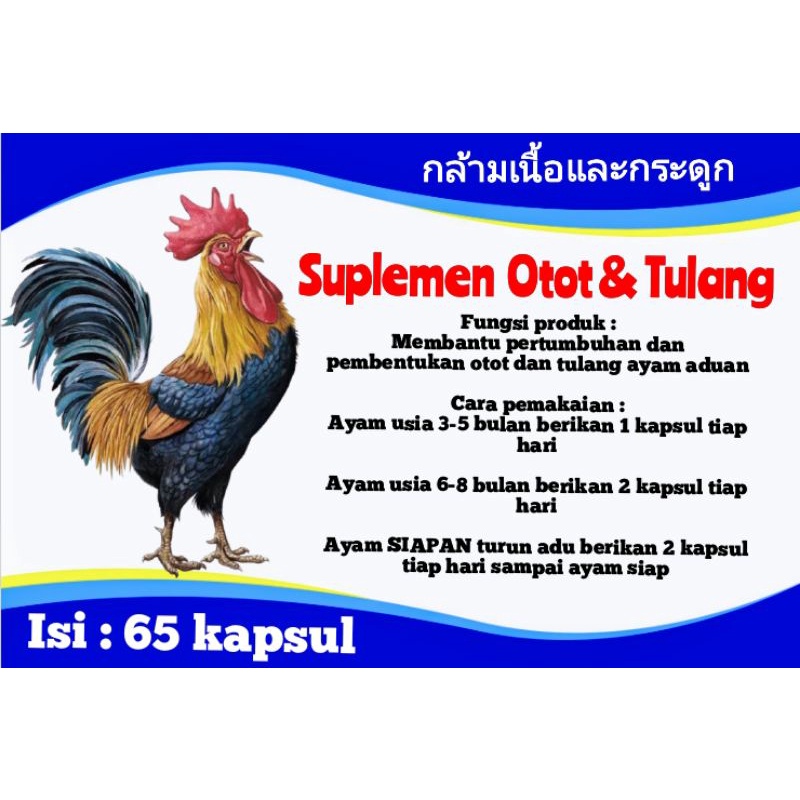 Suplemen OTOT DAN TULANG - ayam aduan