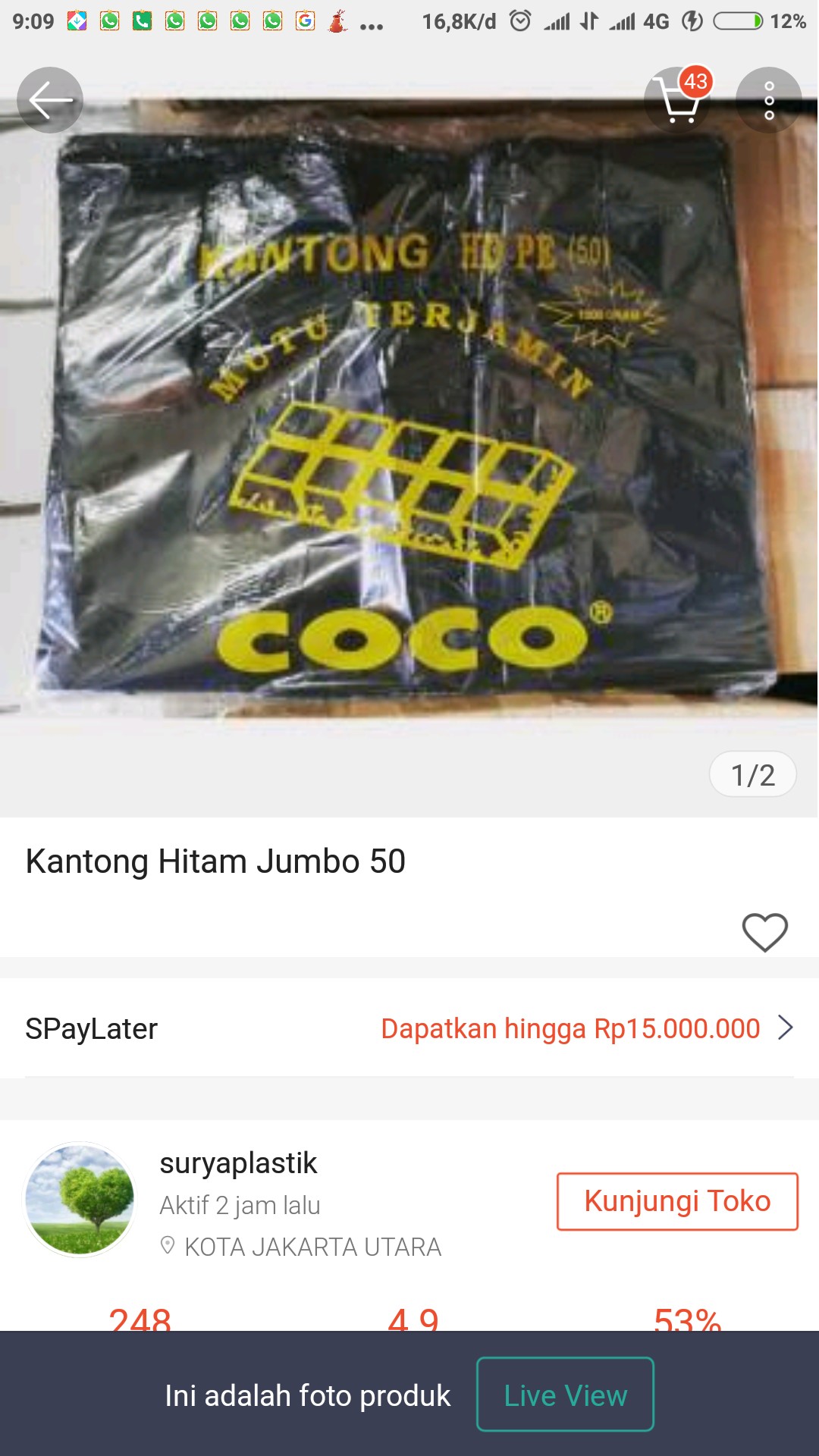 Kantong Hitam Jumbo 50