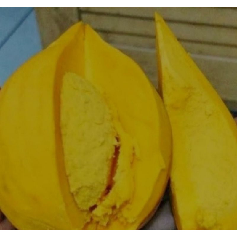 Buah Sawo Alkesa / Sawo Mentega 1Kg