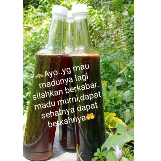 

Madu Murni 100% dijamin Asli