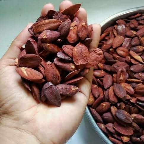 

1000gr Kacang Kenari Kulit Selaput