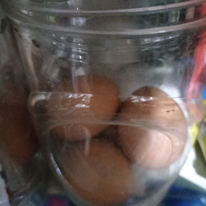 

telur