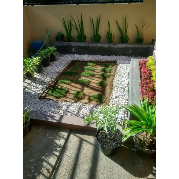 TUKANG TAMAN SENTUL TUAKANG TAMAN JAKARAT TUKANG TAMAN BEKASI
