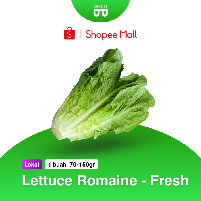 

Lettuce Romain (Harga Per Pcs) - Bakoel Sayur Online