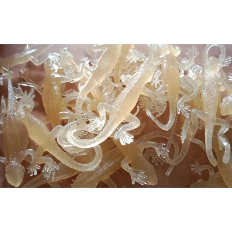 Mainan Cicak Karet(Ktg)(0406)