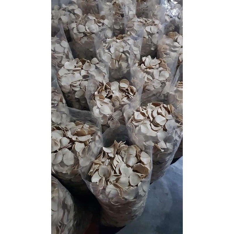 

kerupuk pentol