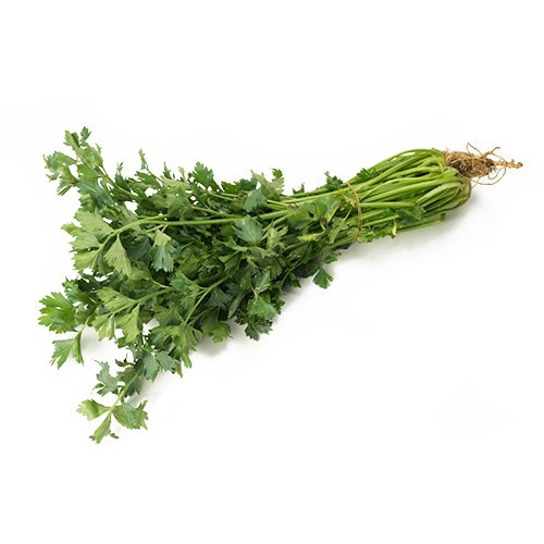

Daun Seledri 100gr