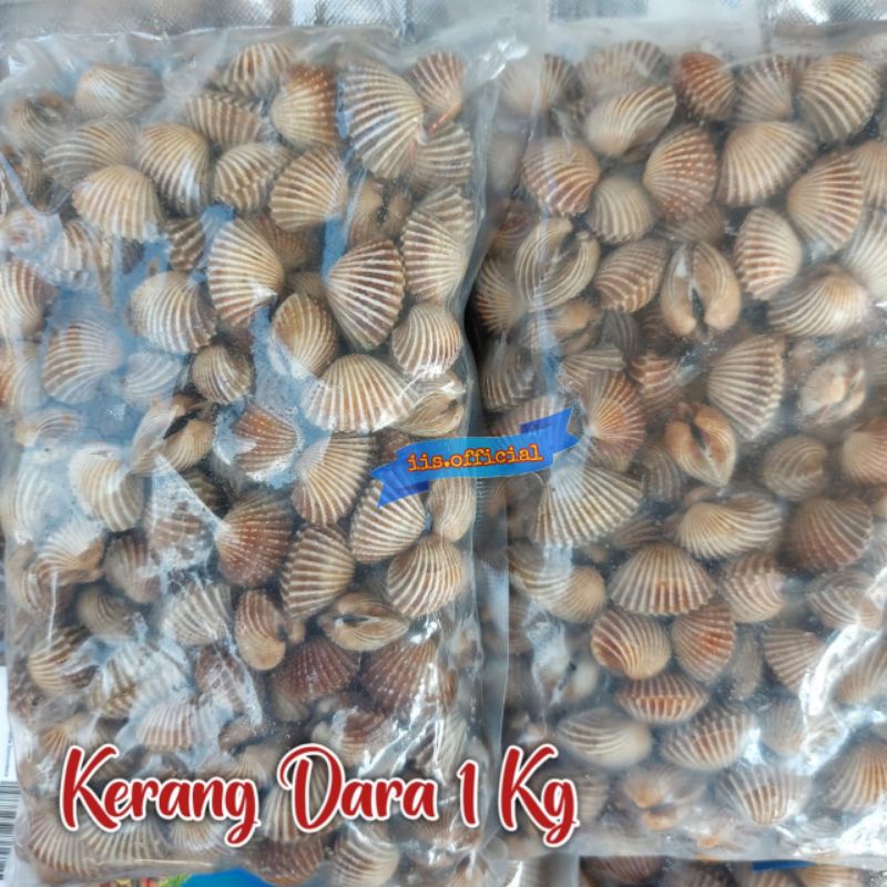 

KERANG DARA / KEMASAN 1KG / SEAFOOD / FROZEEN FOOD / OLAHAN SEAFOOD