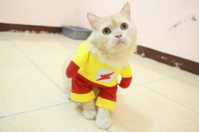 Kostum flash untuk kucing dan anjing, kostum lucu murah meriah size S M L XL