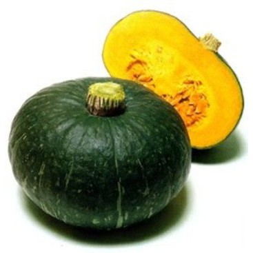 3 biji benih Labu Kabocha Hijau