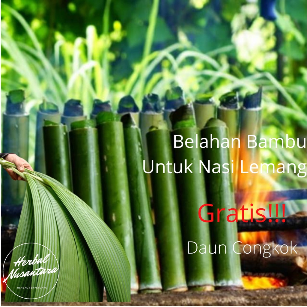 

Promo Batang Bambu lemang Murah / leumeung + daun congkok Paket siap pakai