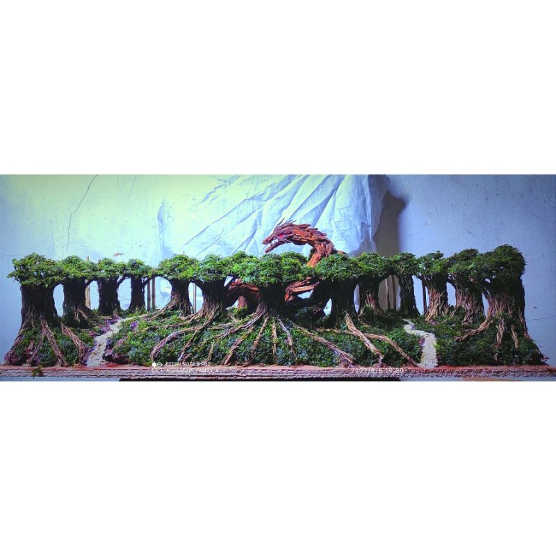 hardscape jungle naga aquascape uk. 100.30.35.cm sudah plus planting mosjava siapp pakai