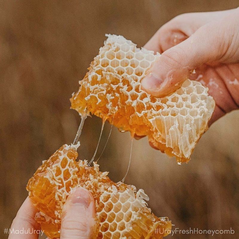 Madu Uray Sarang (Honeycomb)