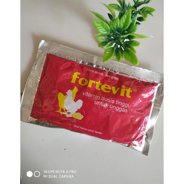 fortevit 100 gram vitamin dosis tinggi ayam unggas-medion