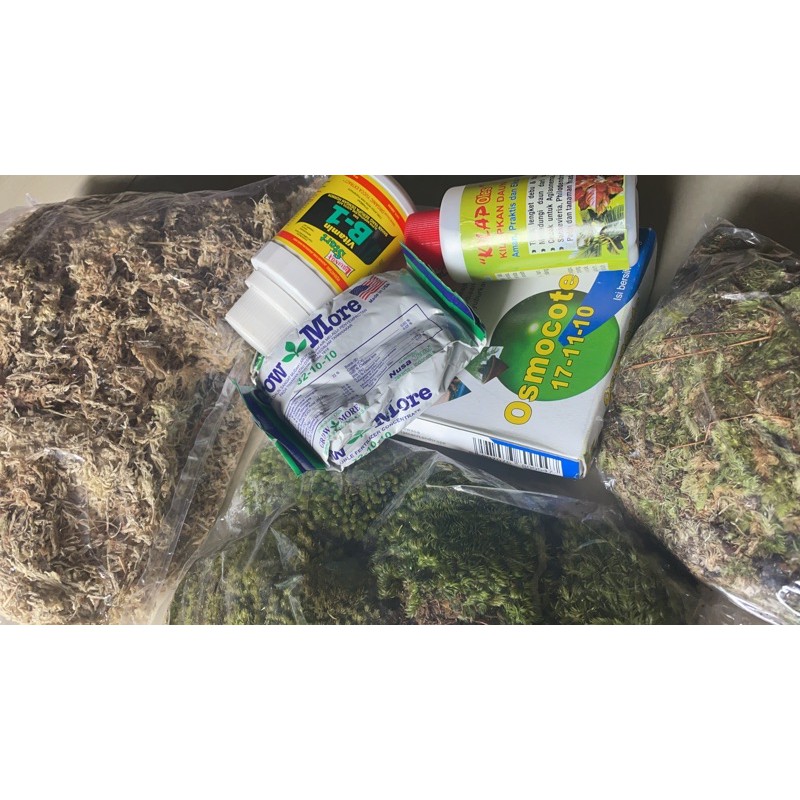 decastar furadan antracol spagnum moss root up b1