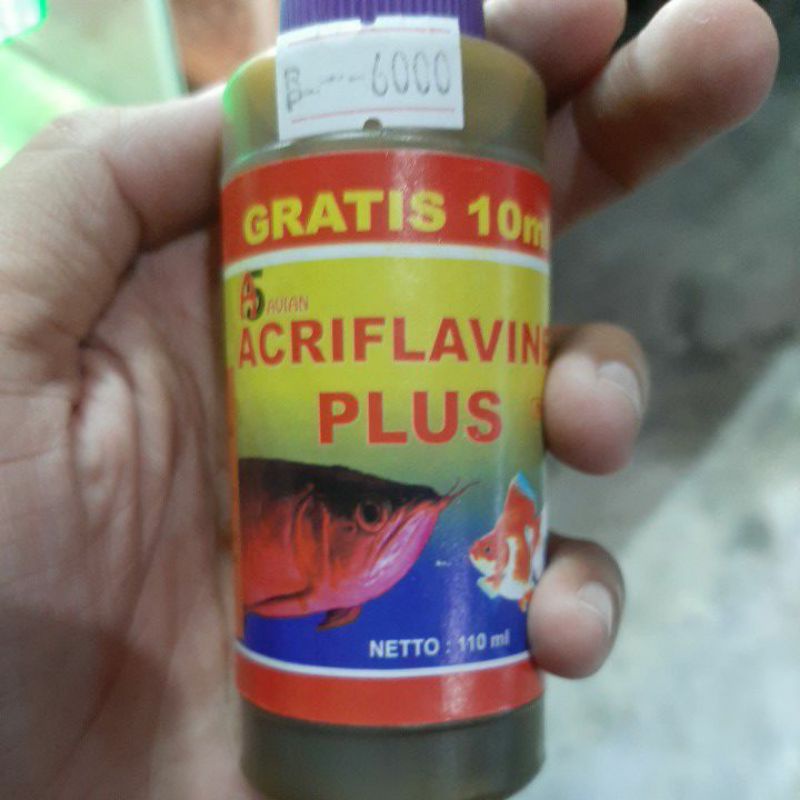 Acriflavine Plus Obat Ikan Predator Channa dll