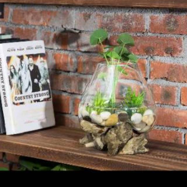 AQUARIUM IKAN CUPANG - SIZE XL / AQUARIUM ETNIK /AQUARIUM ALAS KAYU / POT KACA TIUP /GLASS ON WOOD