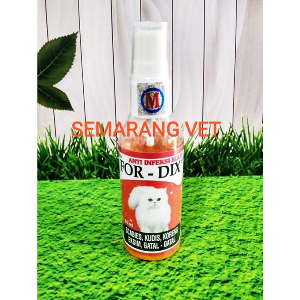 Obat Kucing Jamuran Obat Untuk Kucing Jamuran Obat Kulit Kucing Jamur dan Gatal Obat Kulit Kucing Ko