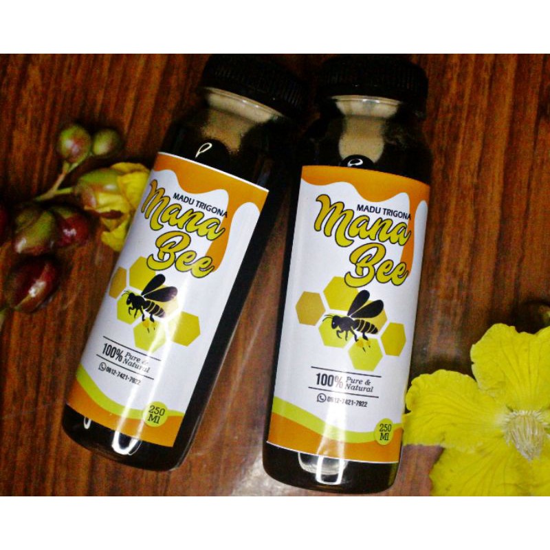 

Madu Trigona Asli