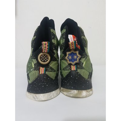 Nike Lebron James Basket     Aligator