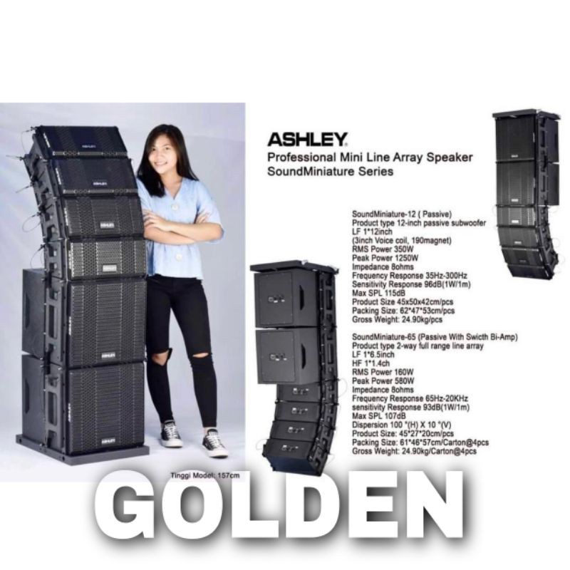 Speaker Line Array Ashley Mini Soundminiature Series array 6.5 inch Sub 12 inch Passive