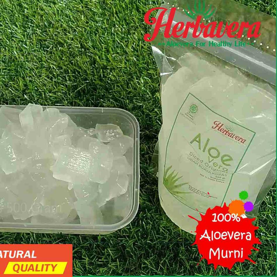 

Laris QFT Lidah Buaya / Aloevera Kupas 500 gram YG Murah-