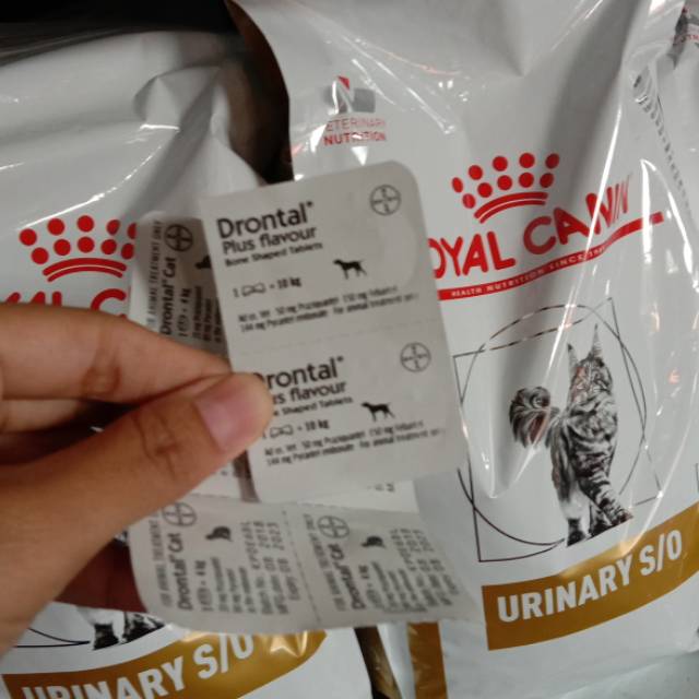 Drontal obat cacing anjing