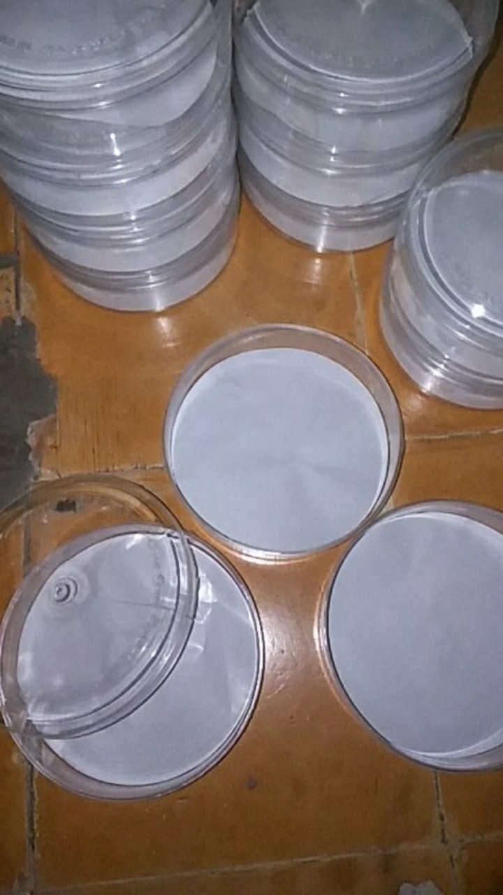 Termurah Toples Kue Kering Cocok Untuk Lebaran 250 Gram 1/4 Kg. 1 Dus Isi 12