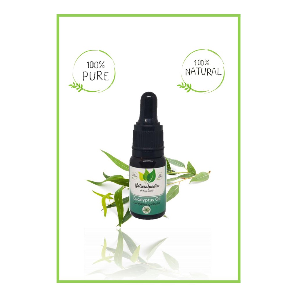 Pure Eucalyptus Essential Oil / MInyak Esensial Atsiri Eucaliptus ...