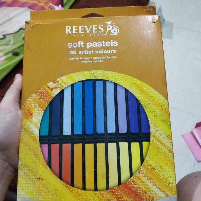 Reeves soft pastel preloved