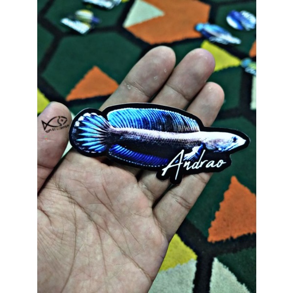 Stiker Channa Andrao | Andrao