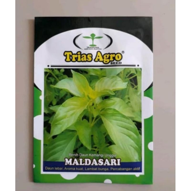 Bibit Benih Kemangi Maldasari 5 Gram